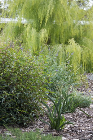 Karen Johnson Landscape Design Pic 2 - Rural studio garden