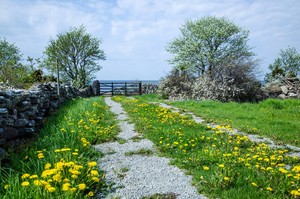 Grant Perkins Horticulture Pic 4 - Acreage Experts