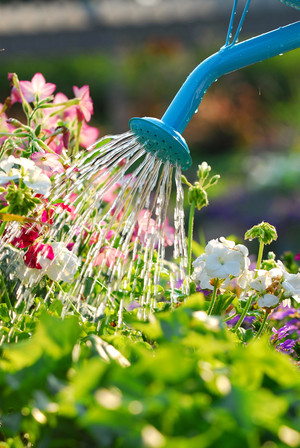 Grant Perkins Horticulture Pic 5 - Garden Bed Maintenance