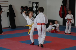 Kumiai-Ryu Martial Arts System Wollongong Pic 2