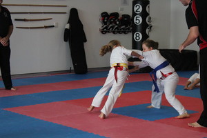 Kumiai-Ryu Martial Arts System Wollongong Pic 3