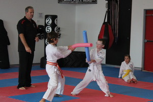 Kumiai-Ryu Martial Arts System Wollongong Pic 4