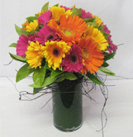 Flower City Pic 4 - Gerbera Vase 60