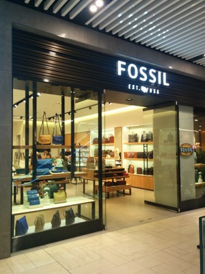 The Fossils Pic 2