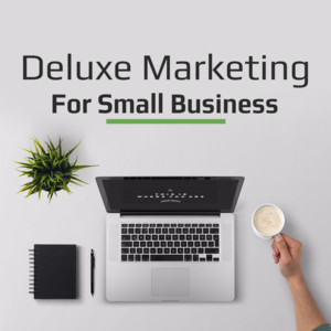 Deluxe Marketing Pic 2 - small business marketing sydney