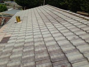 Roof Plus Pic 5