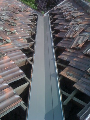 Roof Plus Pic 4