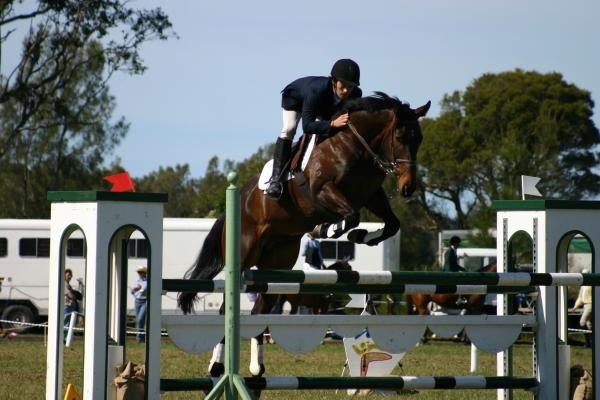 MB Performance Horses Pic 1