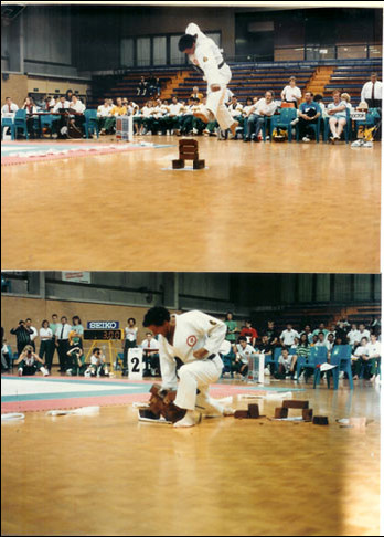 Goshin Ryu Int. Karate Pic 1