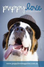 Puppy Love Magazine Pic 1 - Brisbanes first boutiqued dog magazine