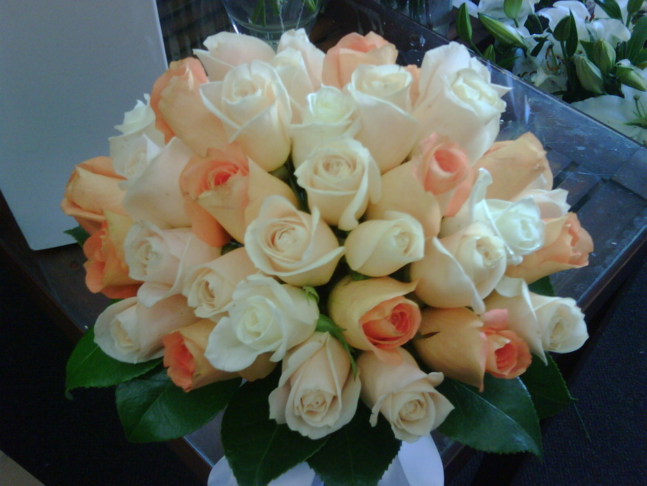 Monet's Fresh Flowers Pic 1 - apricot roses