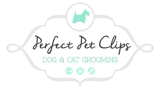 Perfect Pet Clips Pic 1