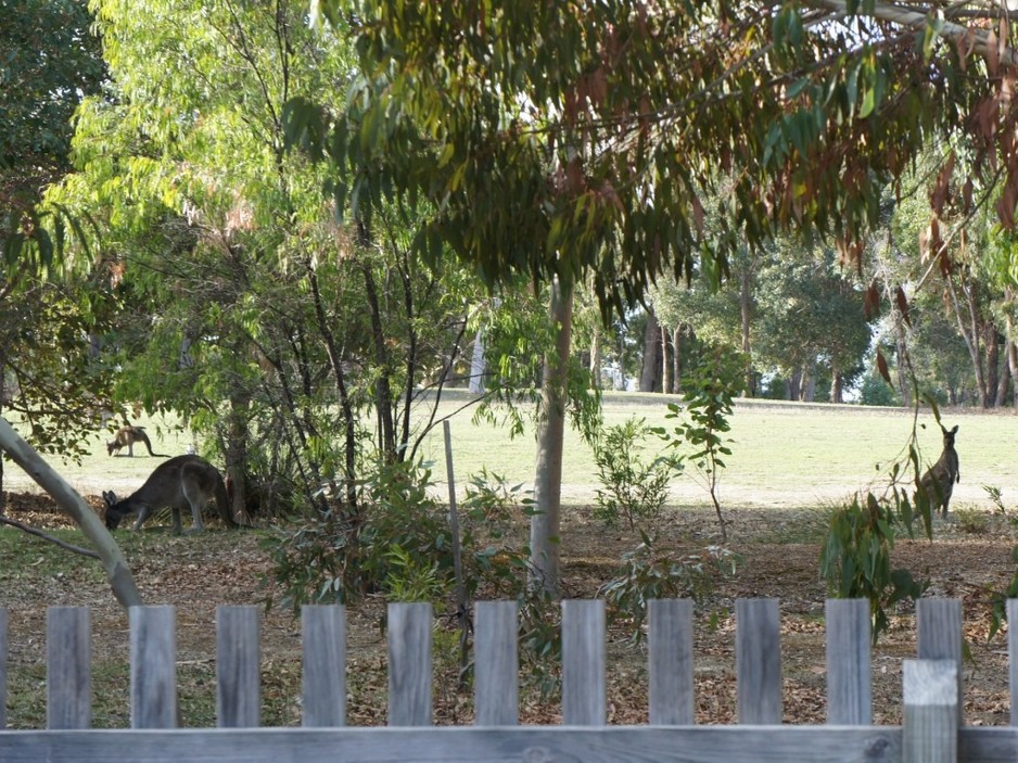 Freebridge Glades Pic 1 - Watch the kangaroos over the fence as you have breakfast or relax with a sundowner