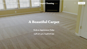 ABC Carpet Cleaning North Sydney Pic 3