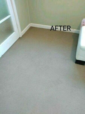 ABC Carpet Cleaning North Sydney Pic 2 - After cleaning with our Duplex Steam Cleaner and Scrubber