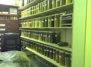 Chinese Treatment Centre Pic 2 - The centres extensive stock of Chinese herbs available for sale