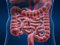 Vitalis Health Pic 2 - Holistic Colon Hydrotherapy The ultimate in alternative health care