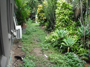 All Grounds & Gardens Pic 5 - Garden Clean up