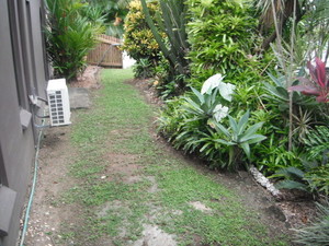 All Grounds & Gardens Pic 2 - Garden Clean up