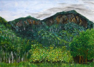 Kasarn Designs Pic 3 - Lansdowne Escarpment painting by Margo Humphries