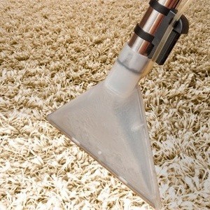 Sk Cleaning Services Pic 2 - Carpet Cleaning Point Cook