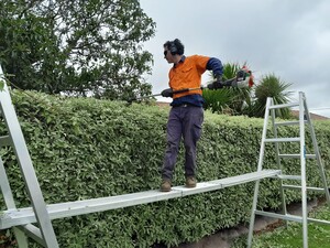 Ben's Mowing and Handyman Pic 3 - Ben doing some hedging