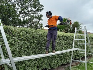 Ben's Mowing and Handyman Pic 5