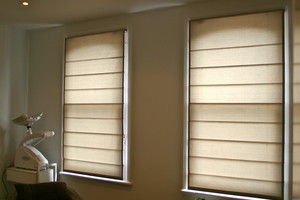 Blinds Wholesale Sydney Pic 2 - Roman Blind in African Wild Translucent fabric