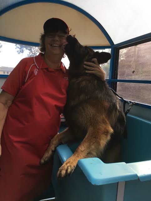 Aussie Pooch Mobile Carseldine Area Pic 1 - Khann just loves his bath but mostly loves the treats he gets for being a good boy