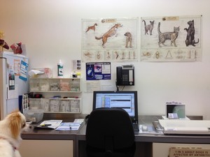 Maribyrnong Veterinary Clinic & Hospital Pic 4