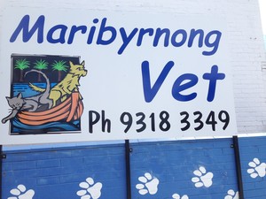 Maribyrnong Veterinary Clinic & Hospital Pic 3