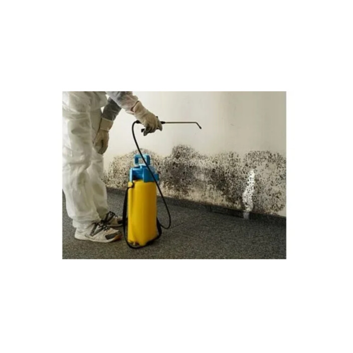 Mould Experts Sunshine Coast - Removal | Restoration | Testing Pic 2