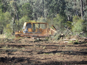 Ewen Hendren Dozer Hire Pty Ltd Pic 5 - Vegetation Clearing