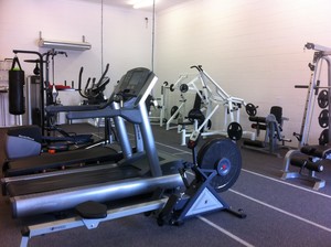 Kings Gym and Fitness Pic 2 - Cardio pin loaded and plate loaded machines