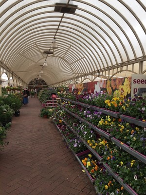 Virginia Nursery Pic 5