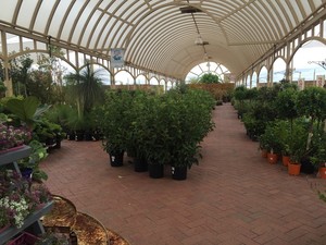 Virginia Nursery Pic 4