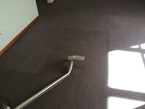 SteamGuru Carpet Cleaning Pic 5