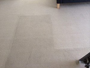 SteamGuru Carpet Cleaning Pic 4