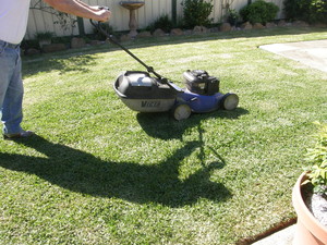 iMow & Tidy Pic 5 - Lawn mowing