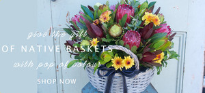 Flowers at the Door Pic 5 - Native Baskets with a Pop of Colour Delivered Gold Coast Australia