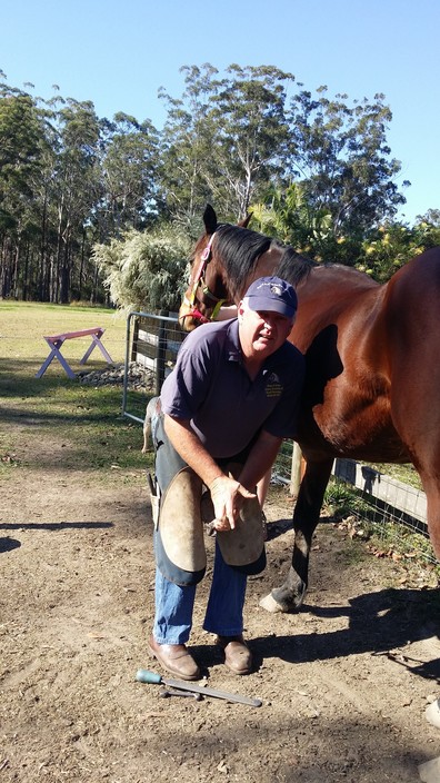 Brian S Grant Horse Dentistry and Farrier Service Pic 2 - Corrective trimming at no extra cost