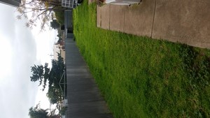 Lawn Barber SA Pic 3 - Before