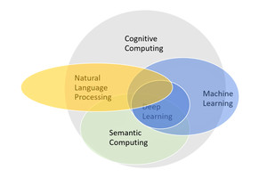 Cognitive Software Group Pic 5 - httpswwwcognitivesoftwarecom