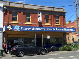 Fitzroy Veterinary Hospital Pic 2