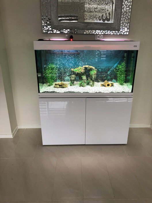 Clearview Aquarium Services in Sydney, NSW, Aquariums TrueLocal