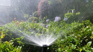 Sustainable Irrigation Solutions Pic 4