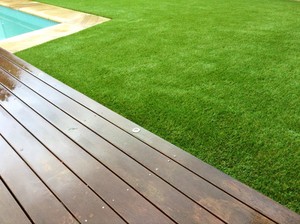 Australian Artificial Lawns Pic 4 - 100 Australian Owned