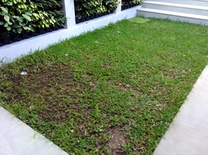 Australian Artificial Lawns Pic 2 - Before