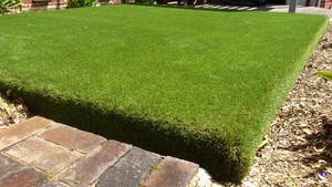 Australian Artificial Lawns Pic 5 - We Can Install Synthetic Grass Anywhere