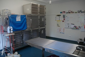 Milton Village Vet Pic 4 - Treatment Room